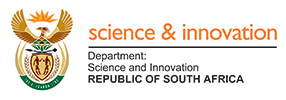 DSI logo